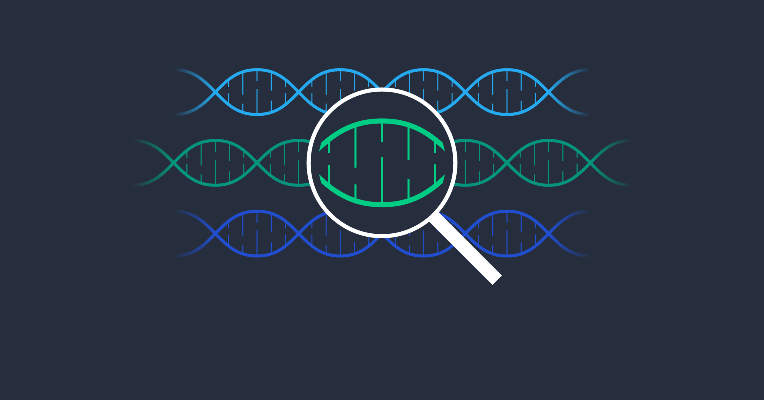 Cover Image for Genetic algorithm used for path-finding